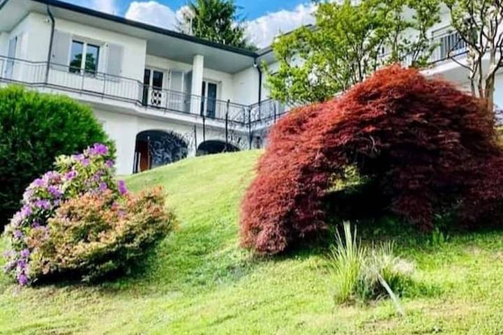 I Faggi Rossi - Red Beech Trees in Como, Lago di Como