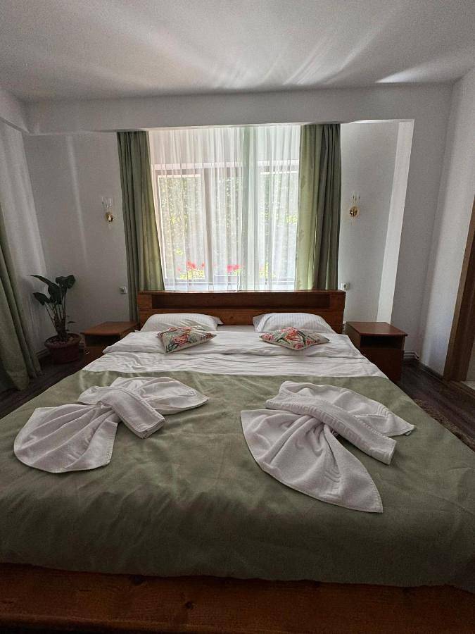 Gîte pour 3 personnes, avec jardin ainsi que balcon et vue à Sinaia - 3