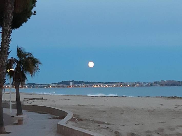 Villa pour 8 personnes, avec vue ainsi que jardin et piscine, animaux acceptés à Cambrils - 3