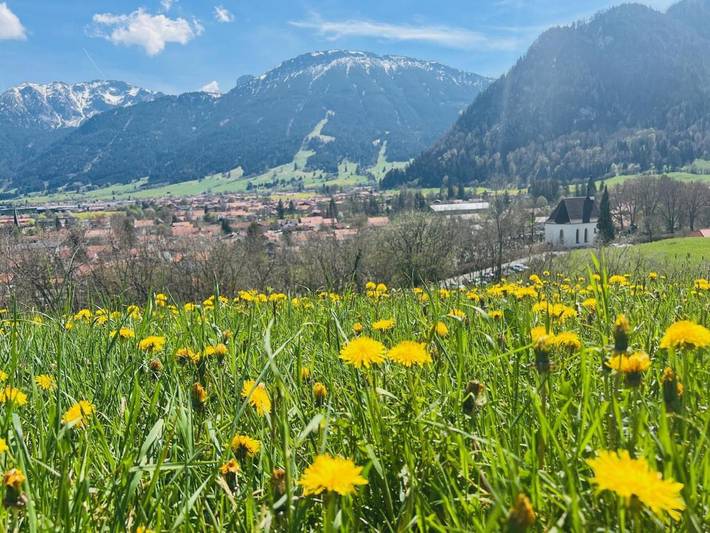 Ferienwohnung für 5 Personen, mit Ausblick und Garten in Königswinkel - 2