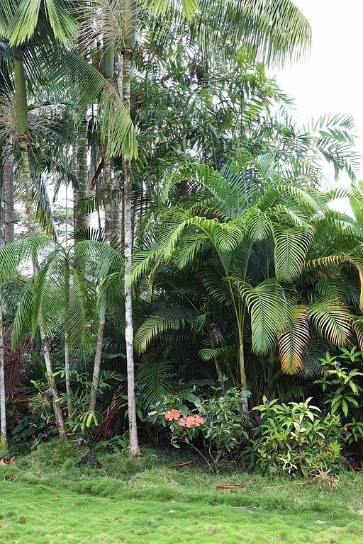 Herrlich! Der Wasserfall Retreat auf der Insel Reed in Hilo, North Hilo
