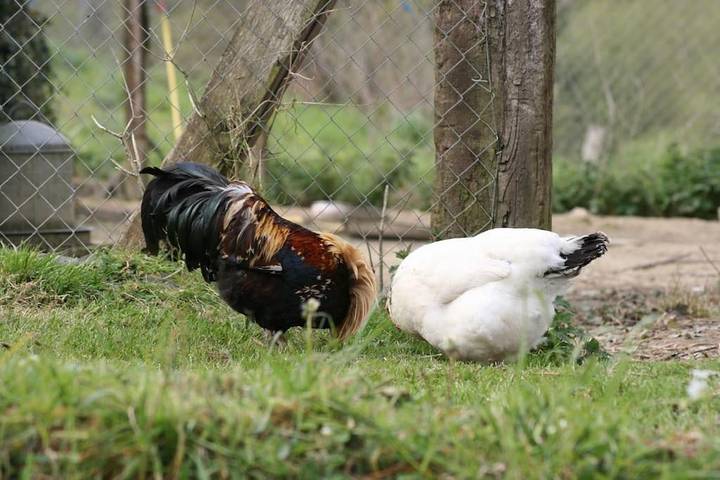 Location de vacances pour 2 personnes, avec jardin et balcon à Garlan - 2