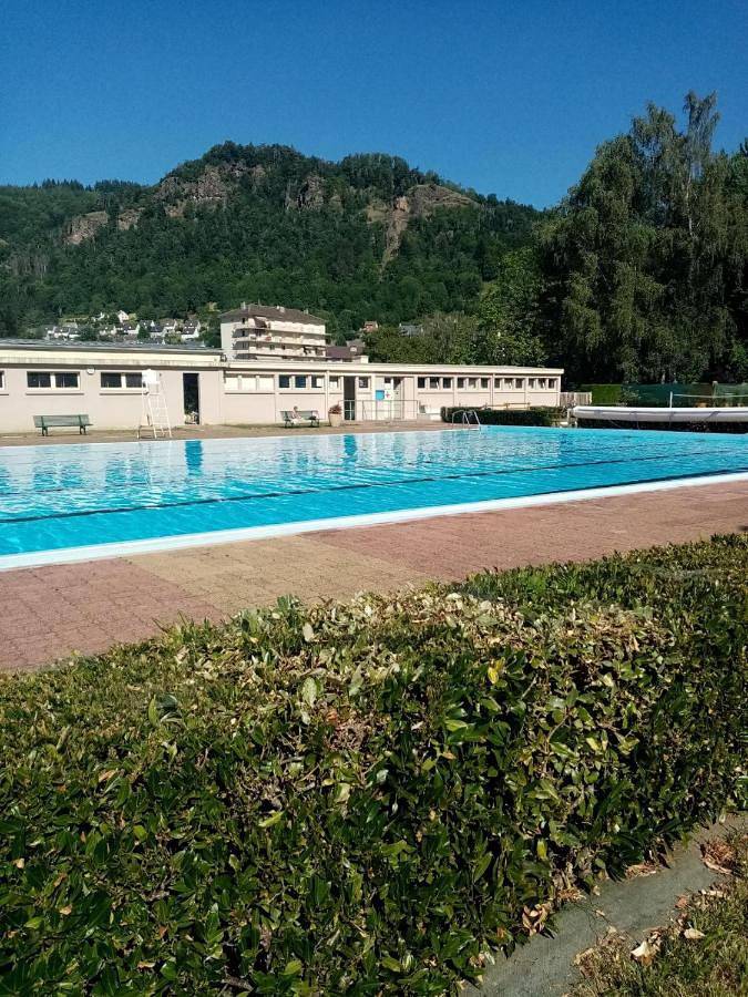 Appartement entier, One-Bedroom Apartment in Vic-sur-Cère, Région d'Aurillac
