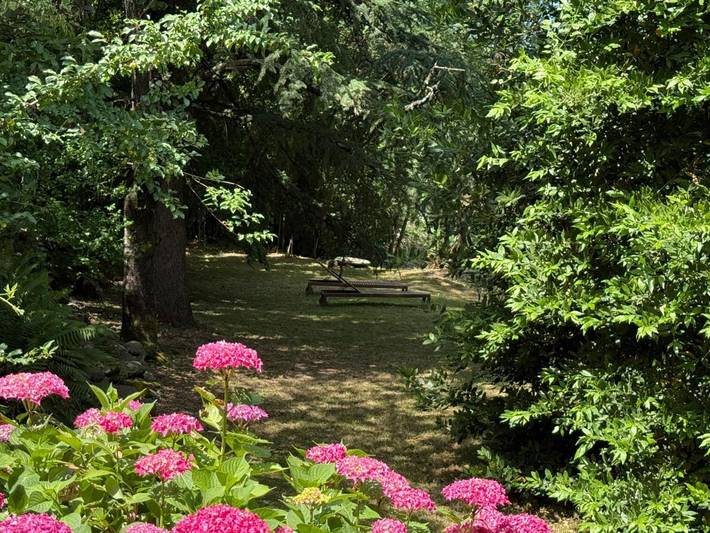 Location de vacances pour 15 personnes, avec jardin et vue à Valleraugue - 4