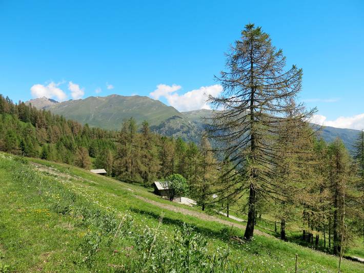 Ferienhaus für 5 Personen, mit Terrasse und Garten im Piemont - 4