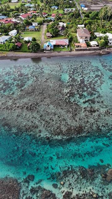 Cottage pour 2 personnes, avec vue et jardin, animaux acceptés dans Teahupo'o