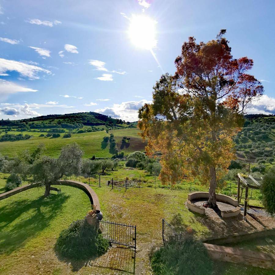Fattoria Tolomei in Campagnatico, Grosseto Provinz