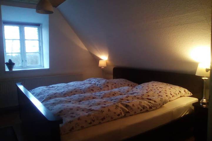 Ganze Wohnung, Idylle pur in  Alleinlage unterm Reet am Waldesrand für bis zu 4 Personen in Schnarup-Thumby, Grünes Binnenland