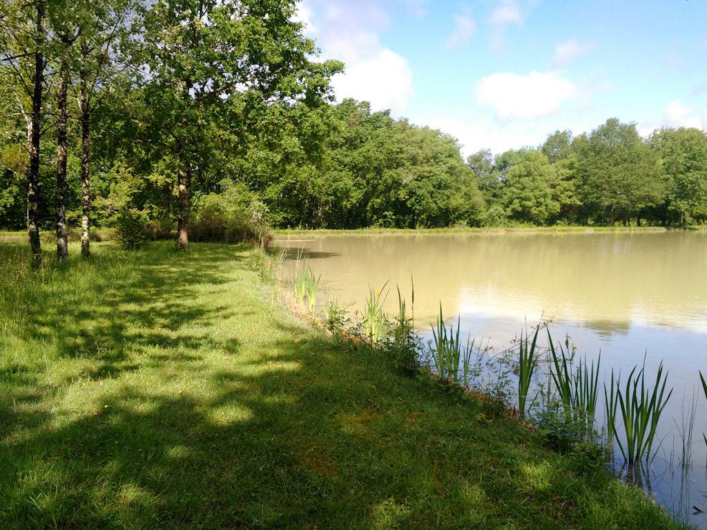 Gite Au Bonheur de la Brenne, parc naturel régional de la Brenne in Neuillay-les-Bois, Région de Châteauroux