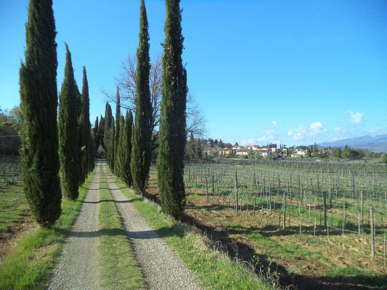 Geheel appartement, 'Casa Rossa' mit Pool in Arezzo, Provincie Arezzo