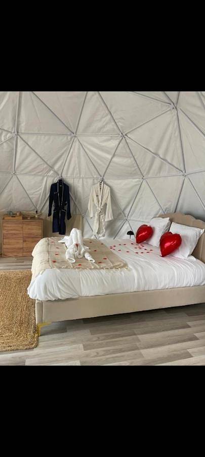 Gîte pour 2 personnes, avec jardin ainsi que jacuzzi et terrasse à Mouliets-et-Villemartin - 4