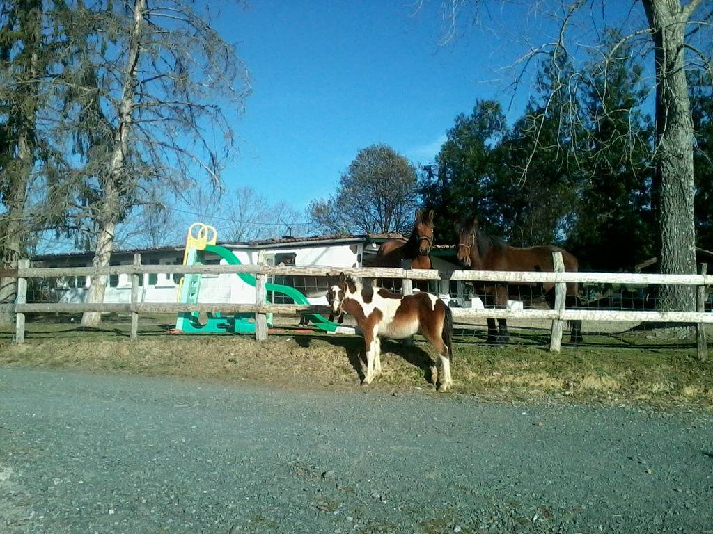 Maison Haizea in Halsou, Région de Bayonne