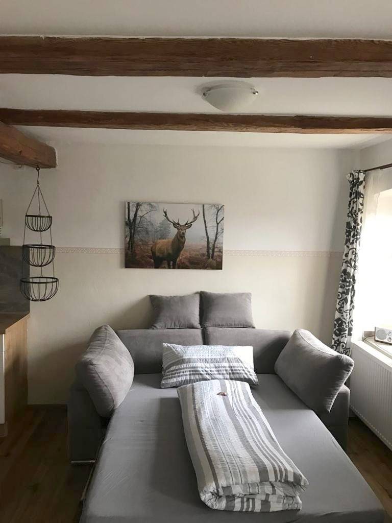 Ganze Wohnung, Gestüt Tiefenhof in Nittenau, Ostbayern