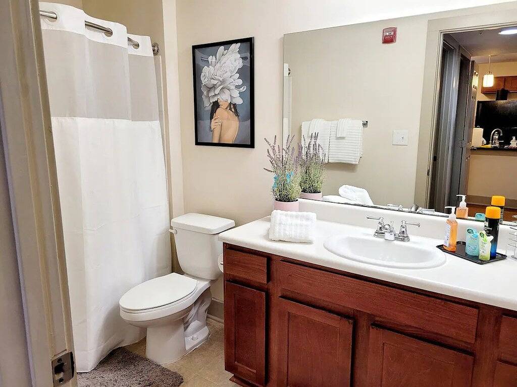 Apartment for 2 Guests in Atlanta, Fulton County