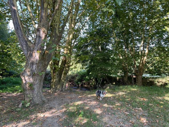 Location de vacances pour 4 personnes, avec piscine ainsi que vue et jardin à Larressore - 3