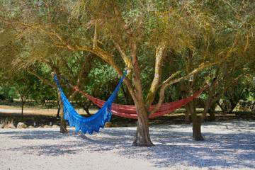 Finca in Campos, Mallorca Süden für 8 