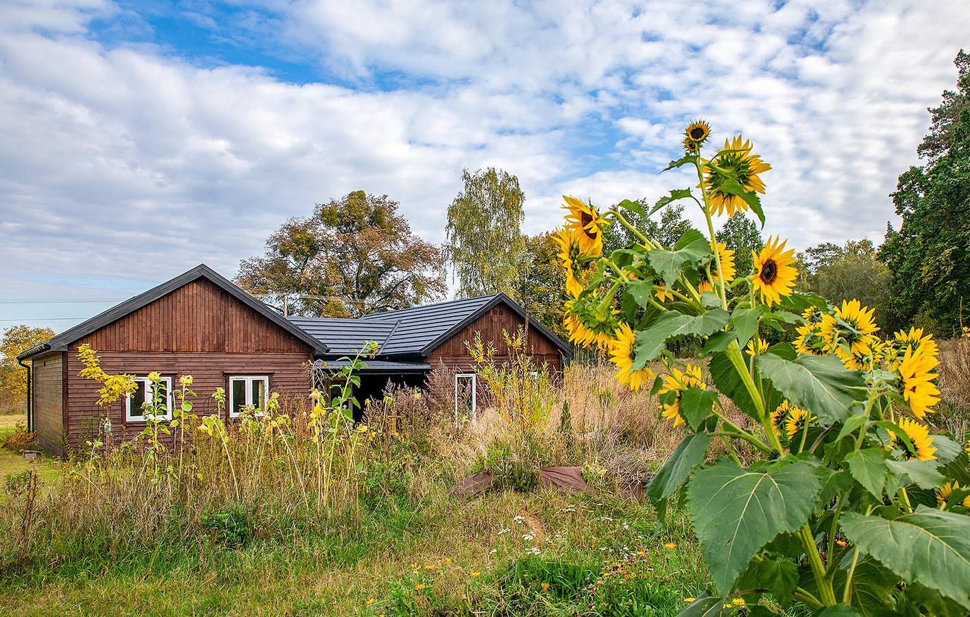 Apartamento vacacional entero, Apartamento de vacaciones para 3 personas con terraza in Bosque de Tuchola