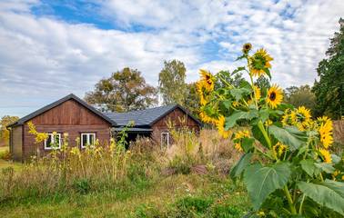 Bauernhof für 3 Personen in Tucheler Heide, Kujawien-Pommern, Bild 4