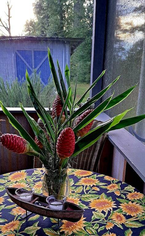 Lake Cottage, nur 1,6 km von den Spring Creek Park Boat Ramps entfernt in Georgia