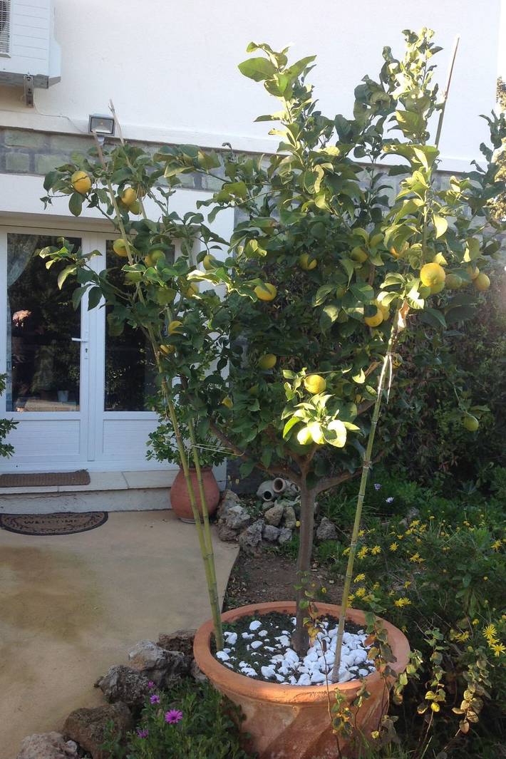 Gîte pour 4 personnes, avec Jardin dans Saint-Aygulf - 2