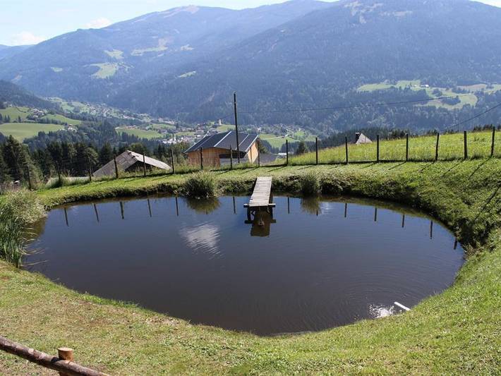 Ferienwohnung für 4 Personen, mit Garten in Kärnten - 4