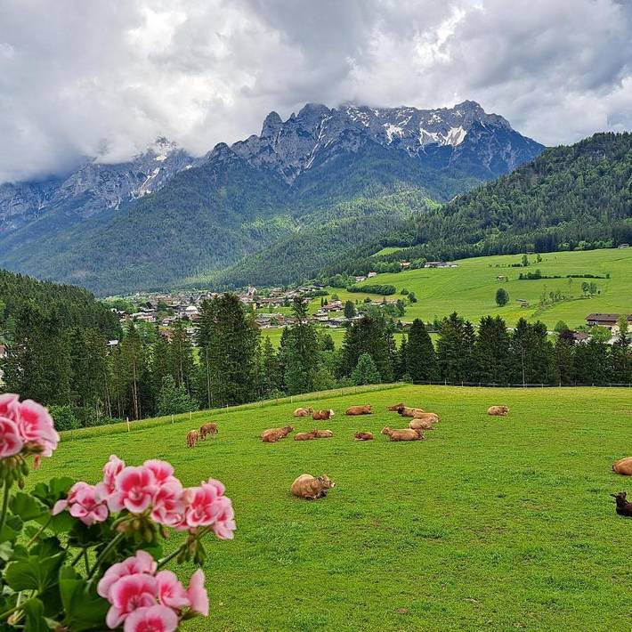 Privatzimmer für 2 Personen, mit Ausblick und Balkon sowie Garten in Waidring - 4