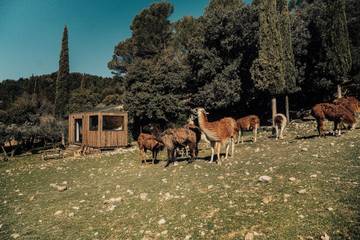 Gîte pour 2 personnes, avec vue et jardin à Le Barroux