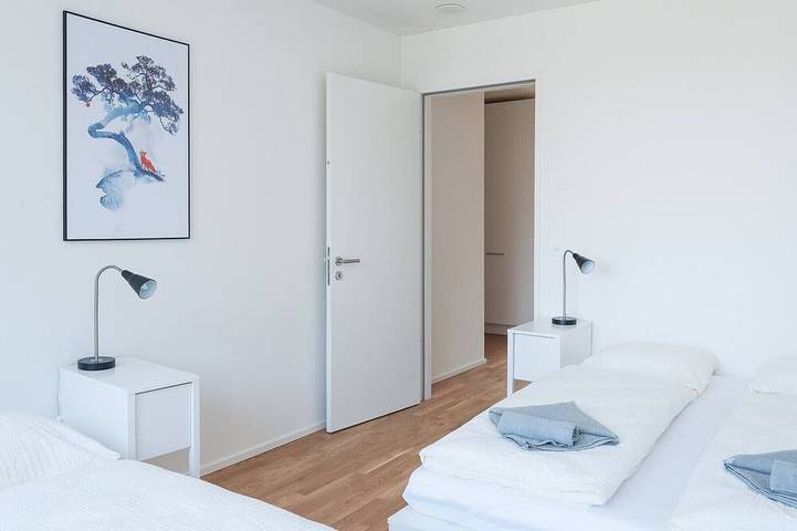 Apartamento entero, Bs Fox Iii - Messe Hitrental Apartment in Basel Zustellkreis, Basilea