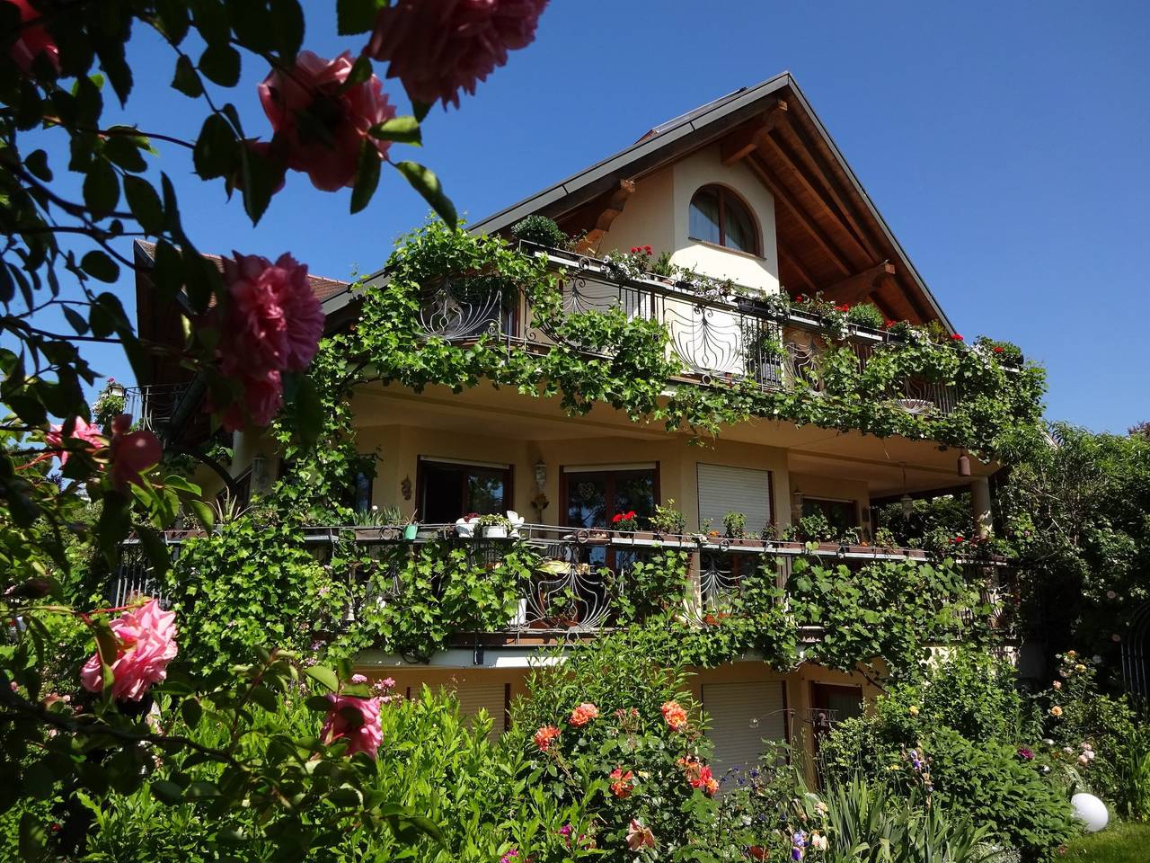 Ganze Ferienwohnung, Ferien-Studio Säntisblick und Reblaube - 2,5-Zimmer Fewo "Säntisblick", Dg, 80 m² in Radolfzell, Radolfzell am Bodensee