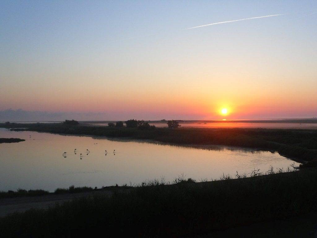 Suite Les Flamants avec vue petit déj climatisation - Chambre in Saintes-Maries-de-la-Mer, Région d'Arles