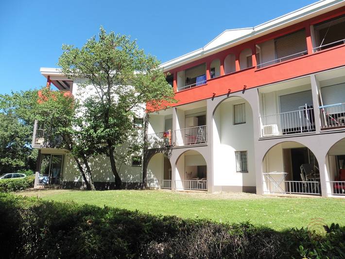 Estudio para 2 personas, con terraza, Se admiten mascotas - 1