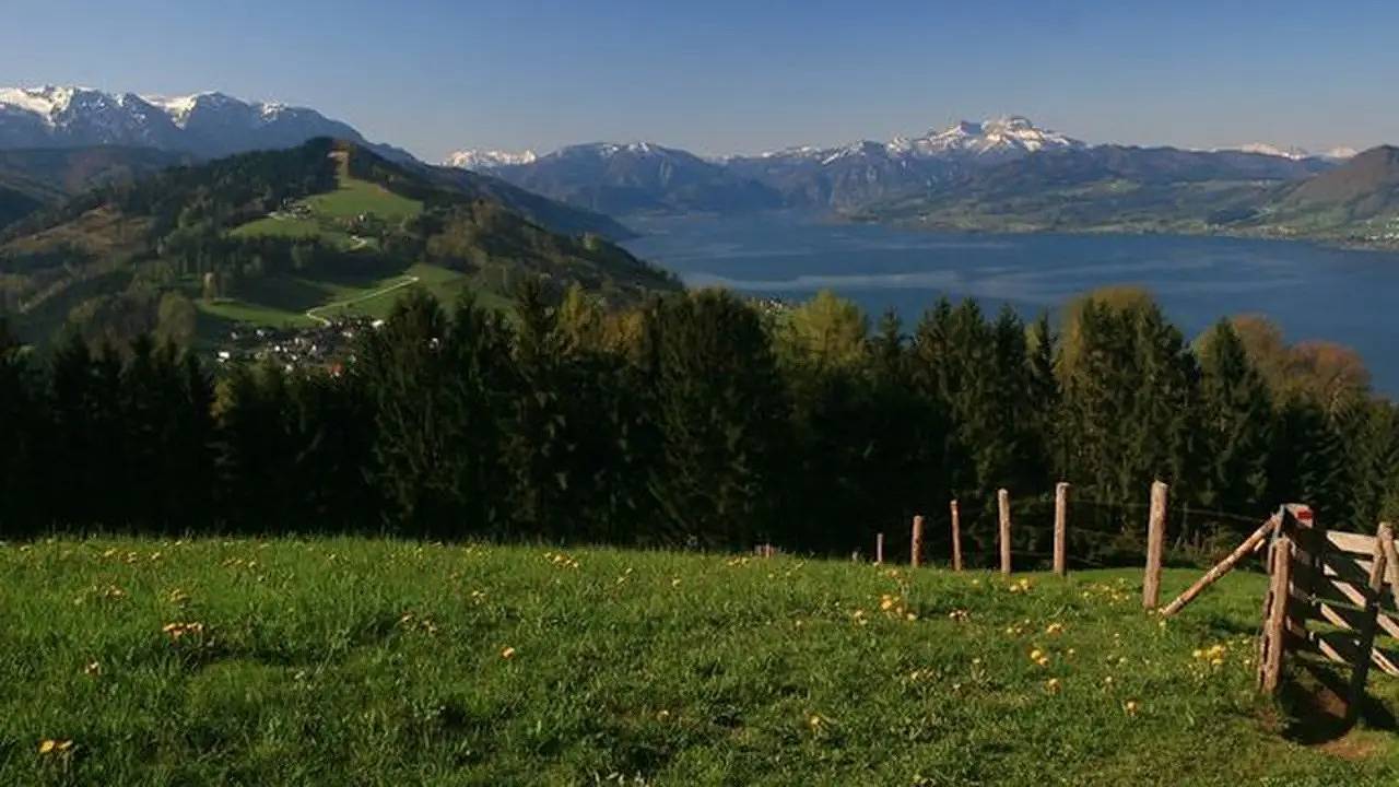 Ganze Ferienwohnung, Ferienwohnung für 4 Personen (50 m²) in Weyregg am Attersee in Salzkammergut-Berge, Weyregg am Attersee