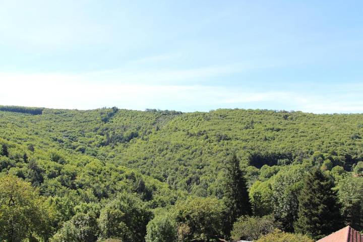 Location de vacances pour 7 personnes, avec vue et jardin, animaux acceptés à Saint-Jean-du-Bruel - 2