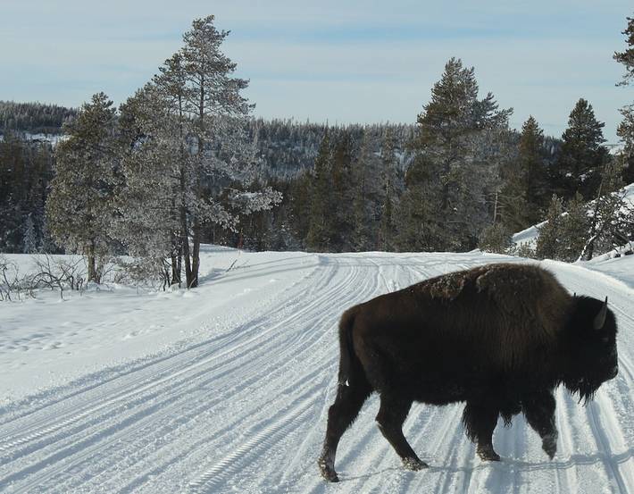 Vacation rental for 8 people, with yard in Montana