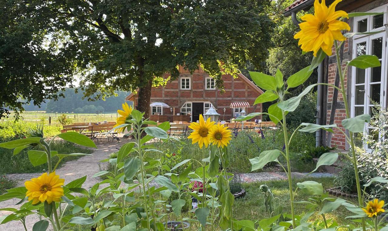 Hotel Traumzeithof in Eschede, Naturpark Südheide