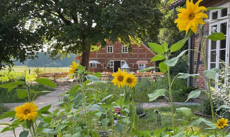 Ferienhaus für 4 Personen, mit Terrasse und Garten sowie Ausblick in Eschede - 2