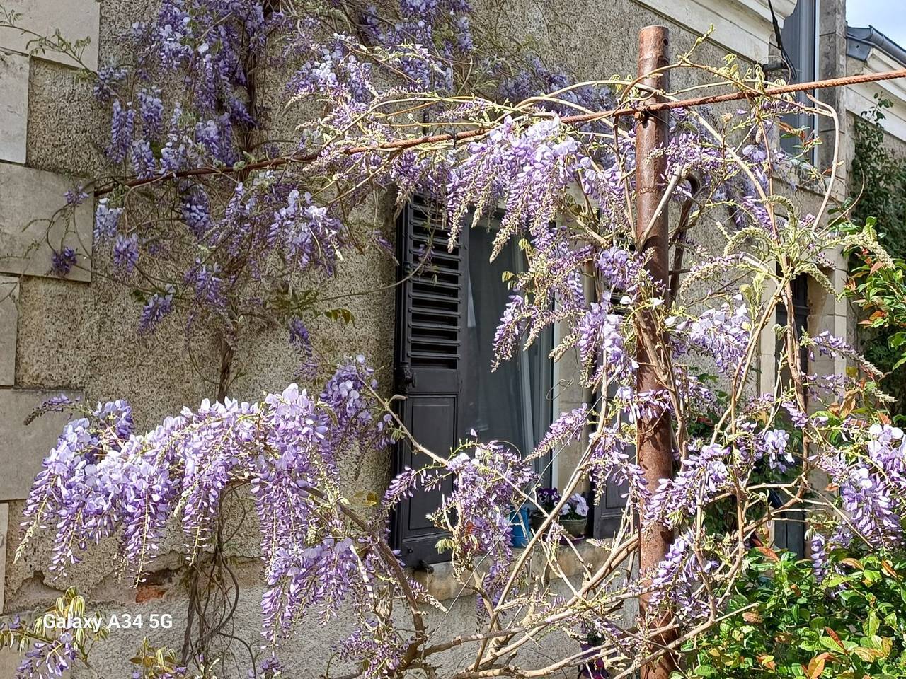 Chambres d'hôtes Les Chaumes Violettes - Nature in Cluis, Région de La Châtre