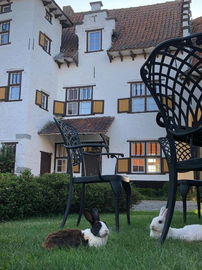 Hôtel pour 3 personnes, avec Terrasse et Jardin à Tournai - 4