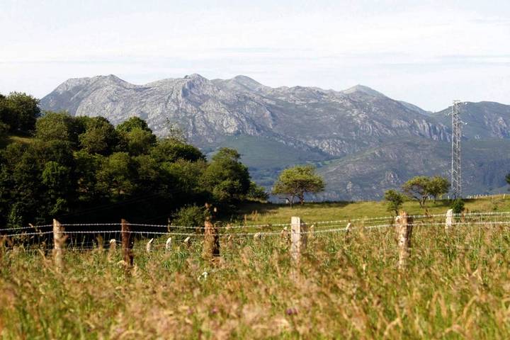 Casa rural para 3 personas, con jardín y terraza, Se admiten mascotas en Sierra del Sueve - 2