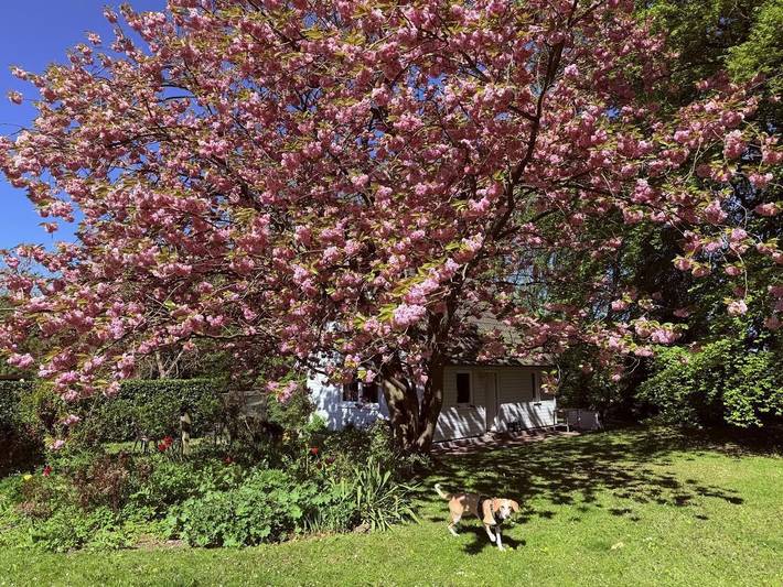 Ferienhaus für 4 Personen, mit Garten in Klingberg - 3