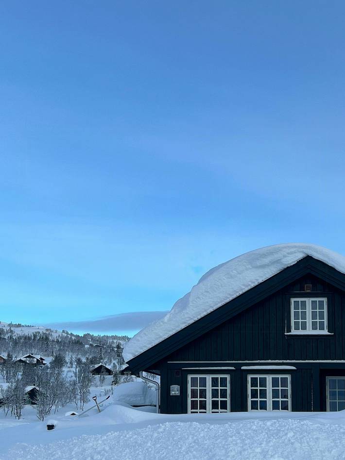 Ferienhaus für 12 Personen, mit Sauna und Terrasse, kinderfreundlich in Telemark