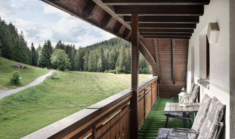 Finkenhof - Zimmer Zauberwald in Blasiwald (Schluchsee), Schluchsee