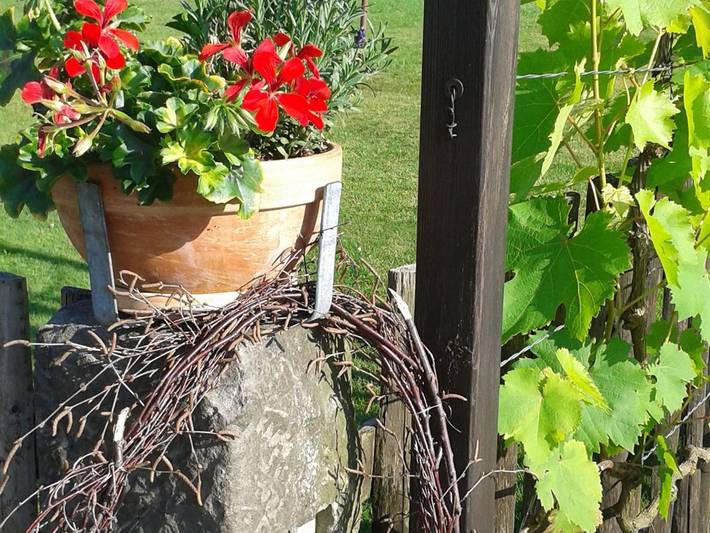 Ferienwohnung für 4 Personen, mit Garten in Sächsische Schweiz - 3