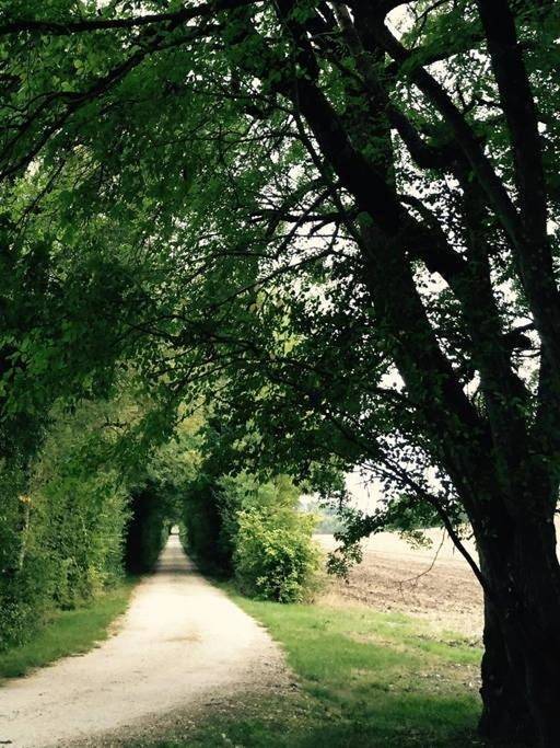 Location de vacances pour 9 personnes, avec vue ainsi que terrasse et piscine à Montaut (Dordogne)