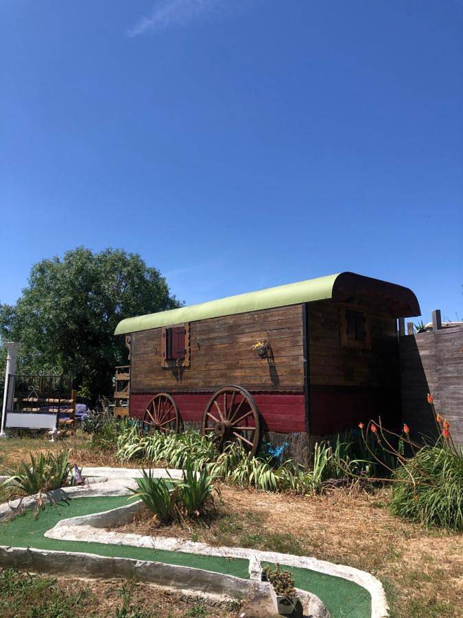 Camping pour 3 personnes, avec vue et terrasse, animaux acceptés