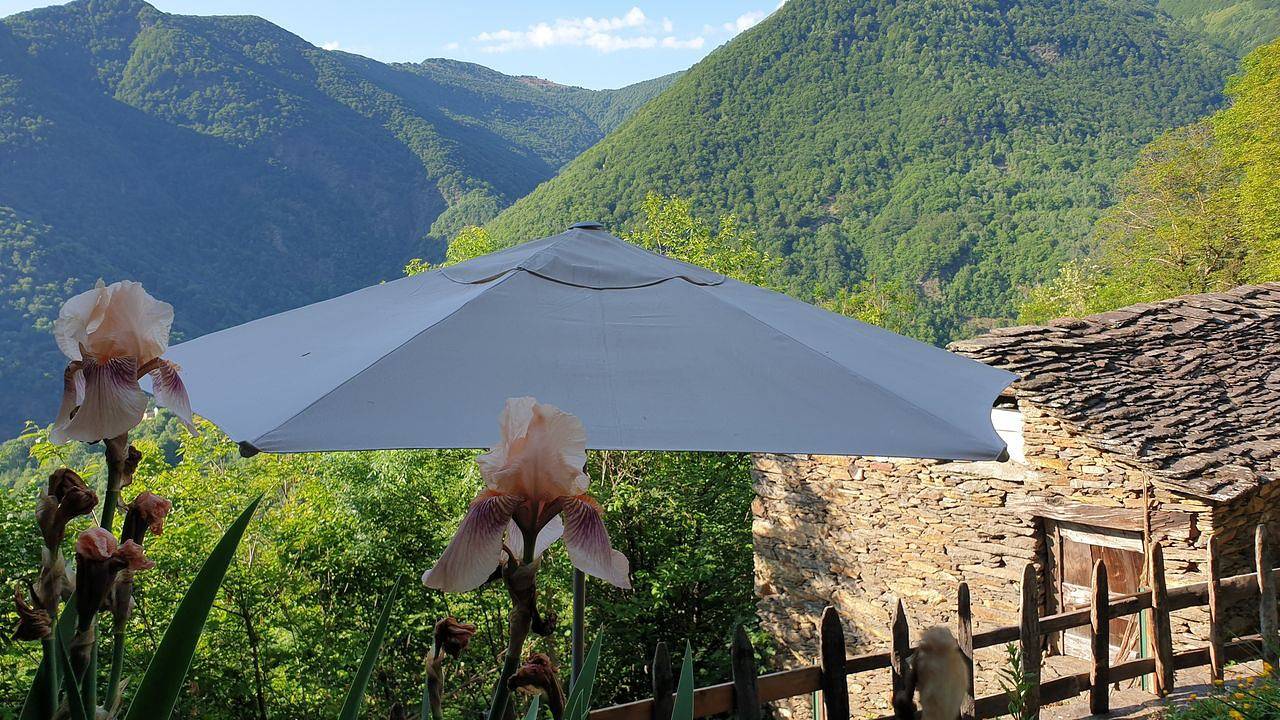 Ferienhaus für 2 Personen (30 m²) in Falmenta in Falmenta, Valle Cannobina