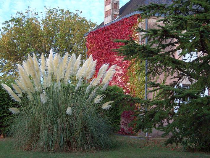 Chambre d’hôte pour 7 personnes, avec jardin et piscine, animaux acceptés dans les Pays de la Loire - 2