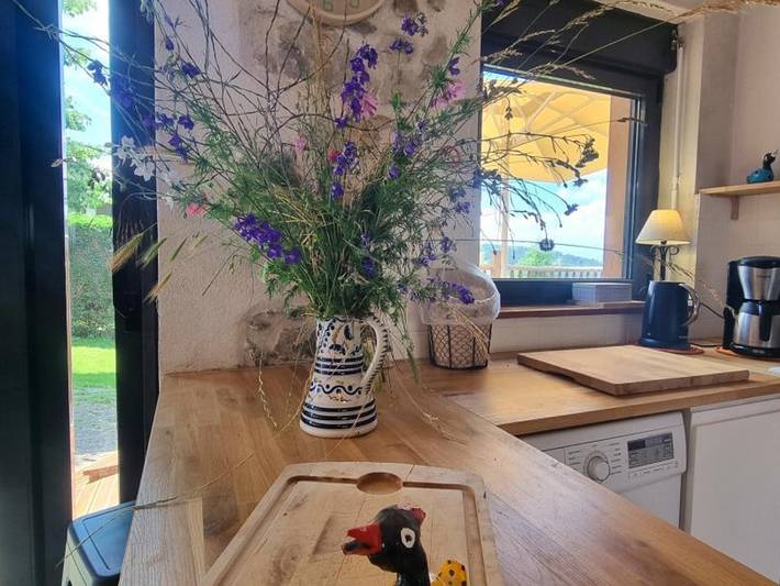 Quiet cottage with terrace, pets welcomed, near pony farm in Virigneux, Montbrison
