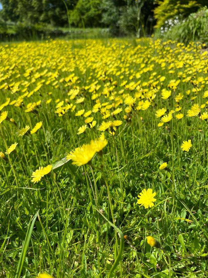 Location de vacances pour 3 personnes, avec vue et jardin, animaux acceptés à Saint-Pierre-du-Regard - 3
