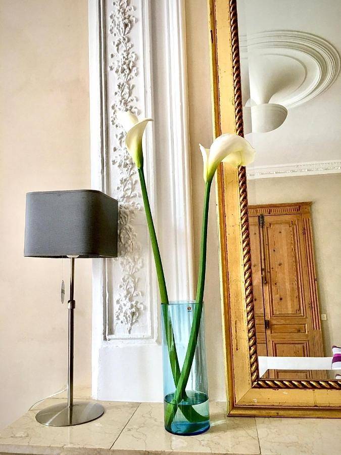 Double Room with Pool View in Castillon-la-Bataille, Région de Libourne